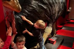 IMG-20250515-WA0154