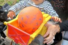 IMG-20260911-WA0001