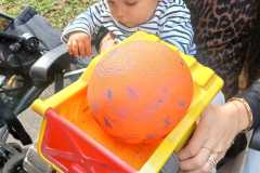 IMG-20260911-WA0002