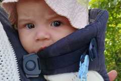 IMG-20260911-WA0026