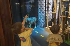 IMG-20260701-WA0014