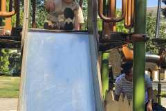IMG-20260701-WA0031