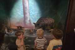IMG-20260701-WA0034