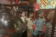 IMG-20260701-WA0036
