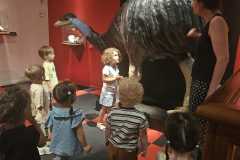 IMG-20260701-WA0040