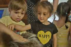 IMG-20260701-WA0046
