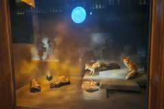 IMG-20260701-WA0051