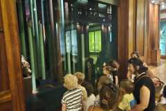 IMG-20260701-WA0052