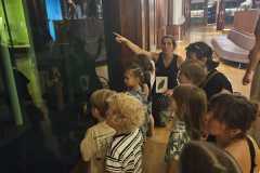 IMG-20260701-WA0054