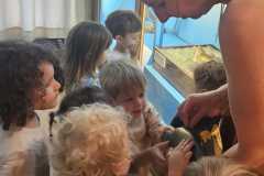IMG-20260701-WA0058
