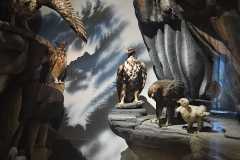 IMG-20260701-WA0060