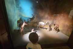 IMG-20260701-WA0063
