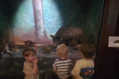 IMG-20260701-WA0066