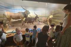 IMG-20260701-WA0067