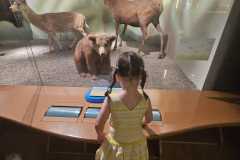 IMG-20260701-WA0069