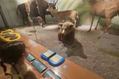 IMG-20260701-WA0070