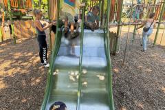 IMG-20260701-WA0074