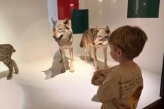 IMG-20260701-WA0078