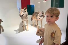 IMG-20260701-WA0079