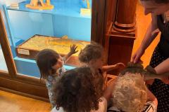 IMG-20260701-WA0081