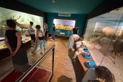 IMG-20260701-WA0083