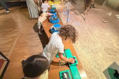 IMG-20260701-WA0084